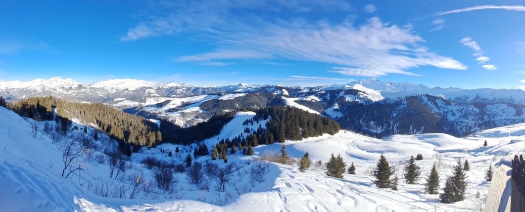       Panorama